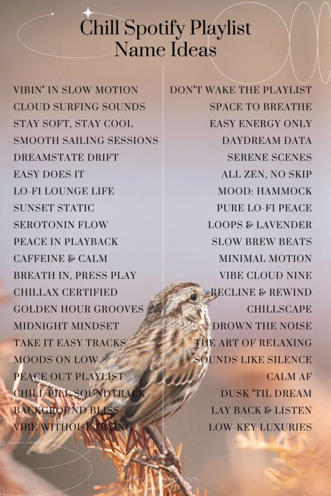 Chill Spotify Playlist Name Ideas